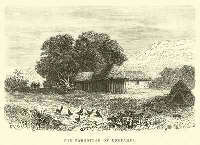 De boerderij van Unupampa door Edouard Riou